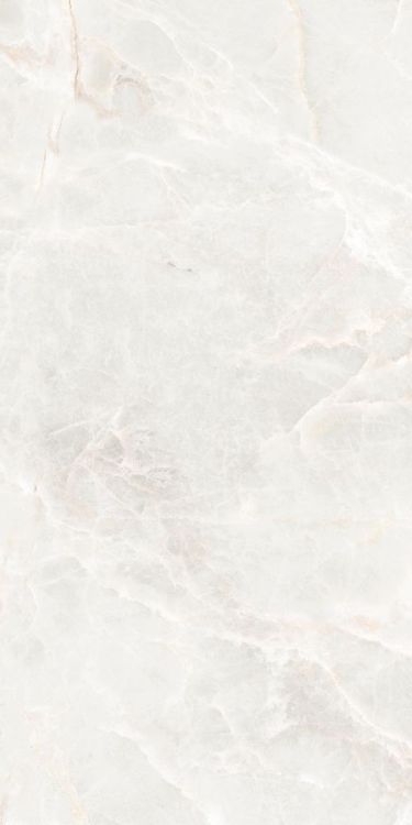Brasilia White Matte 12 x 24